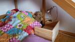 wpid-20150614_172138.jpg