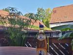 wpid-20150909_094903_richtonehdr.jpg