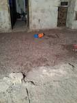 wpid-20150910_200600.jpg