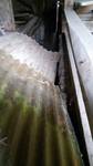wpid-20151006_145652.jpg