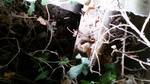 wpid-20151006_145701.jpg