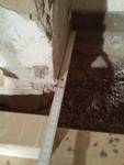 wpid-20151025_223105.jpg
