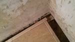 wpid-20151031_213921.jpg